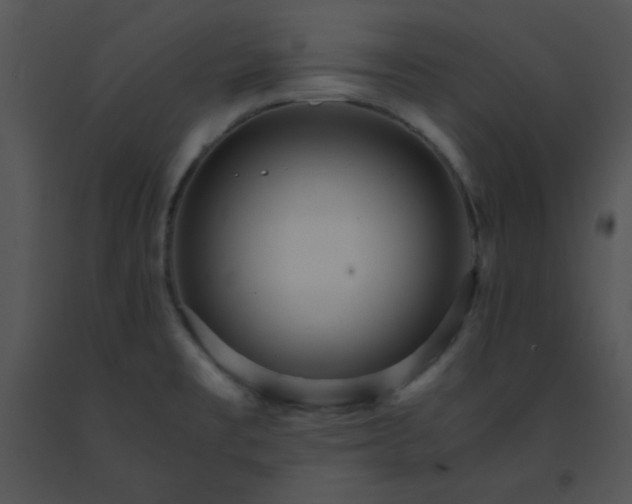 X0000091361477200708311455