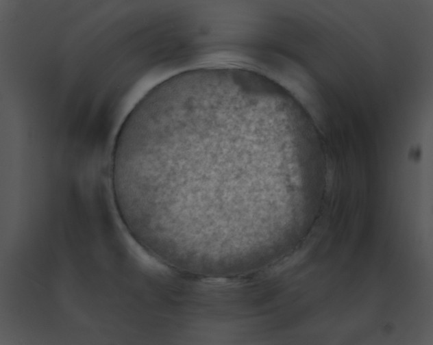 X0000091361478200708311454