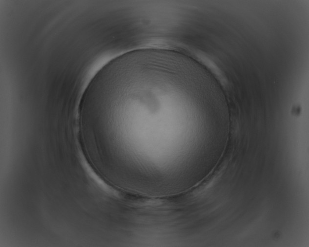 X0000091361479200708311454