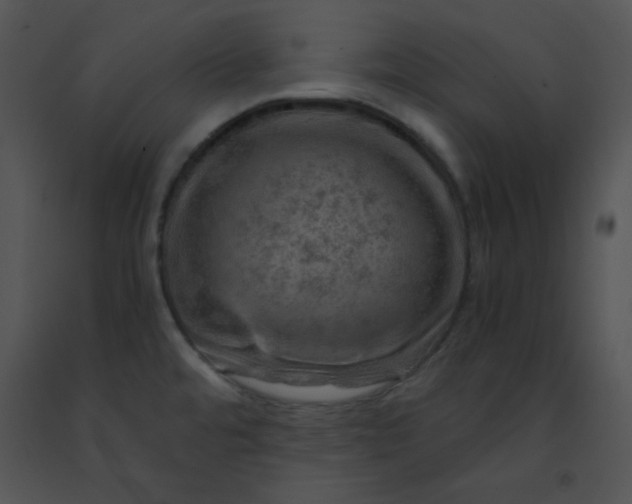 X0000091361480200708311454