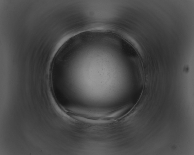 X0000091361483200708311454