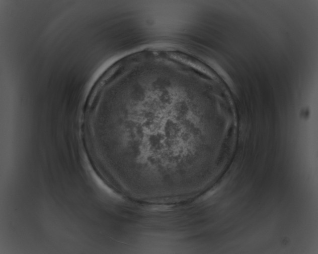 X0000091361484200708311454