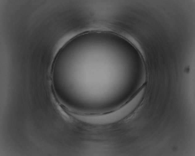 X0000091361485200708311454