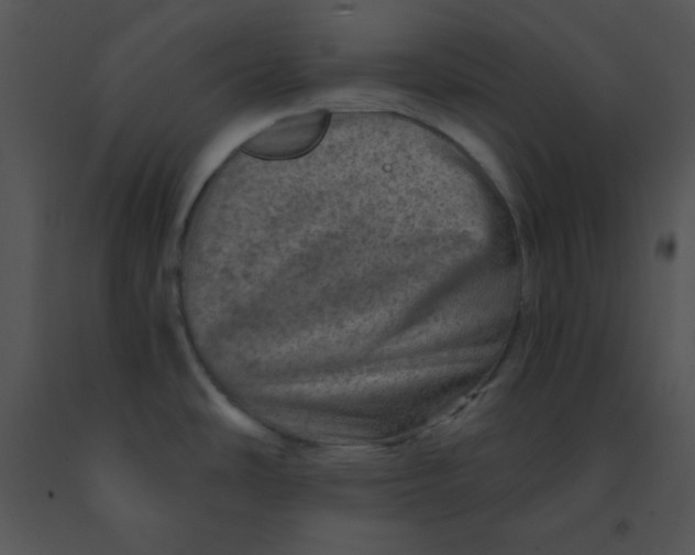 X0000091361486200708311454