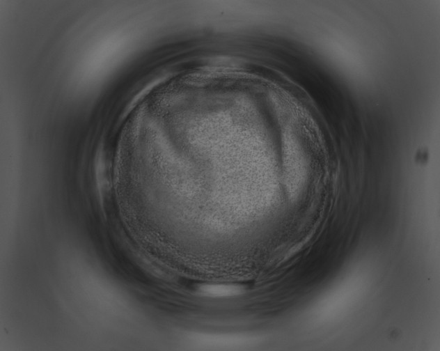 X0000091361487200708311454