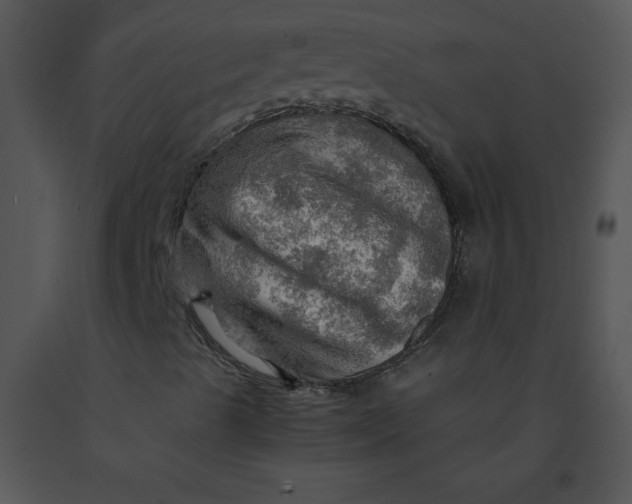 X0000091361489200708311454