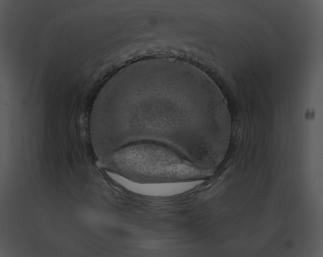 X0000091361490200708311454