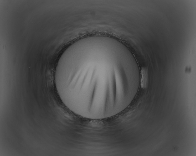 X0000091361491200708311454