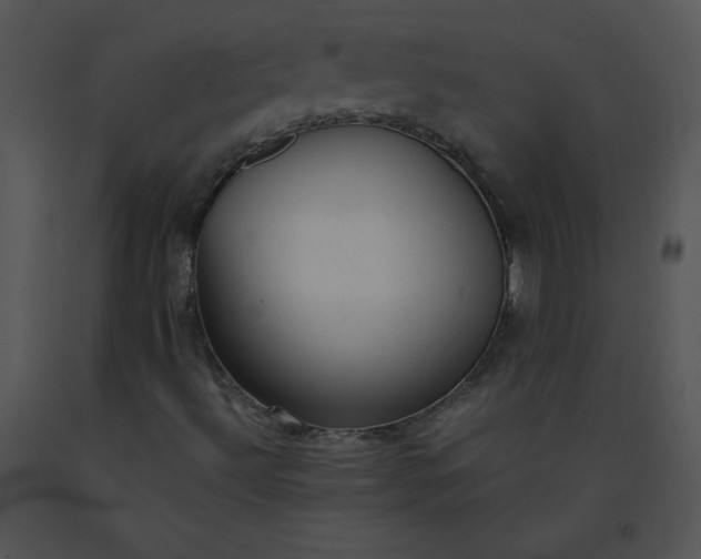 X0000091361492200708311454