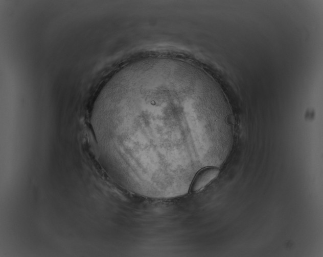 X0000091361493200708311454