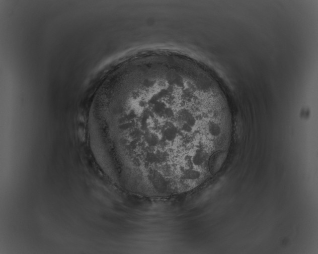 X0000091361494200708311454