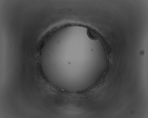 X0000091361495200708311454
