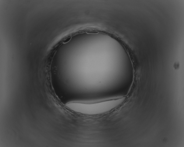 X0000091361496200708311454
