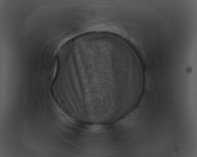 X0000091361497200708311454