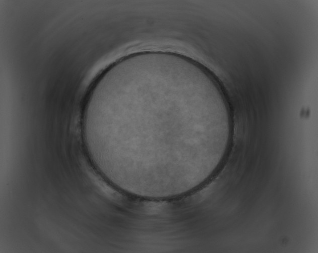 X0000091361498200708311454