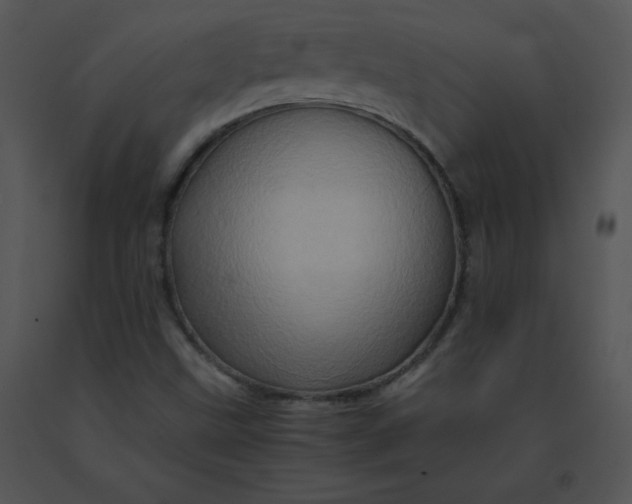 X0000091361499200708311454