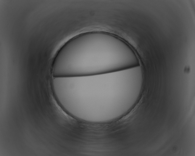 X0000091361500200708311454