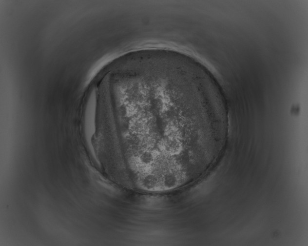 X0000091361501200708311454