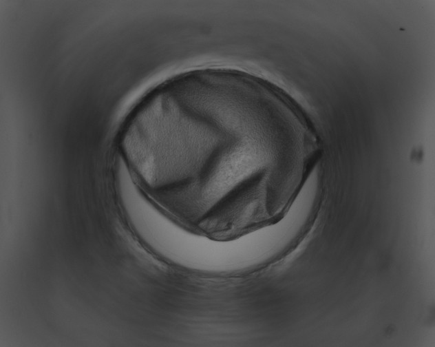 X0000091361502200708311454