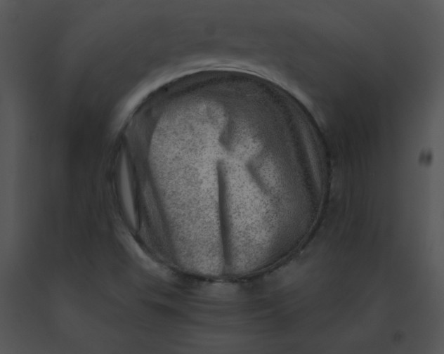 X0000091361503200708311454