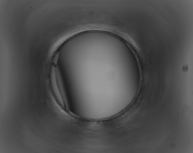 X0000091361504200708311454