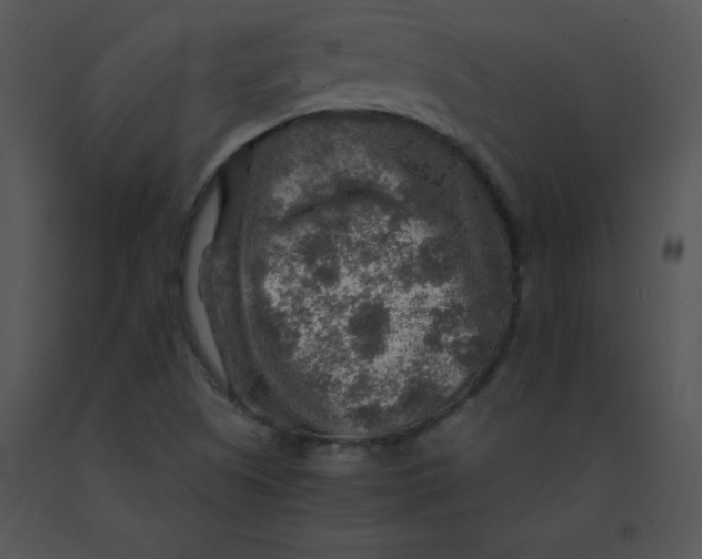 X0000091361505200708311454
