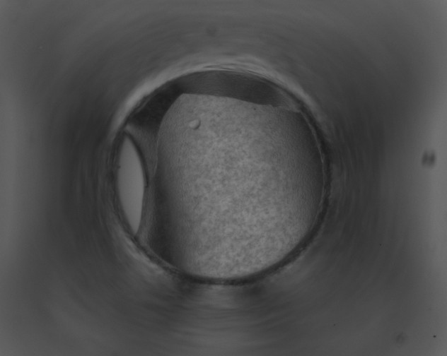 X0000091361506200708311454
