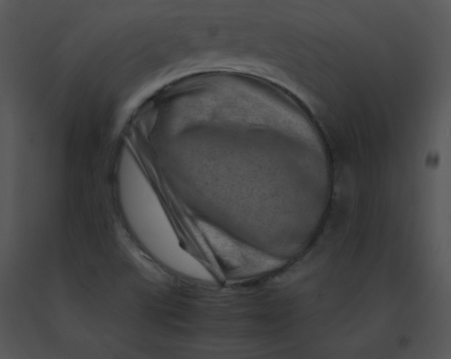 X0000091361507200708311454