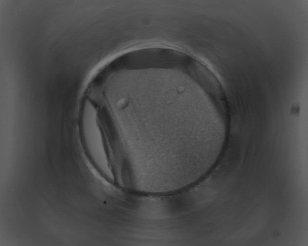 X0000091361508200708311454