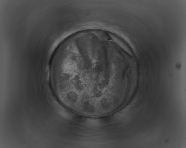 X0000091361509200708311454