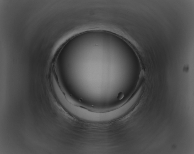 X0000091361510200708311454