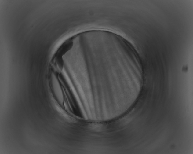 X0000091361511200708311454