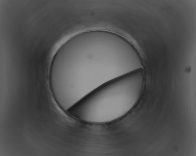 X0000091361512200708311454