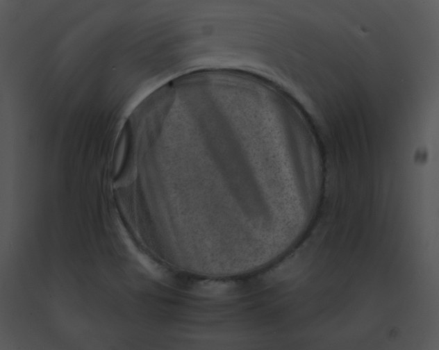 X0000091361513200708311454