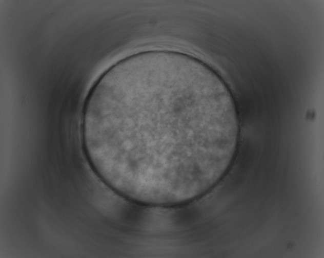 X0000091361514200708311454