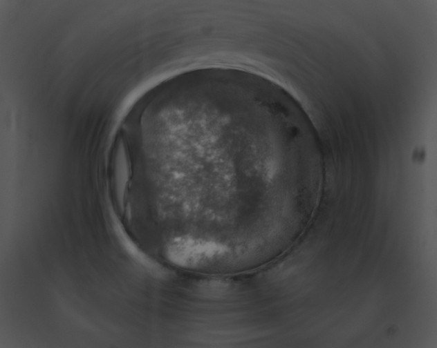 X0000091361515200708311454