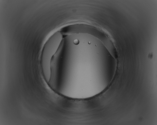 X0000091361516200708311454