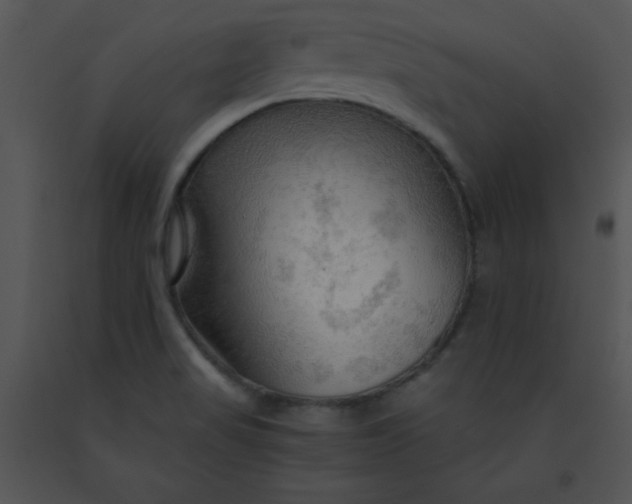 X0000091361517200708311454