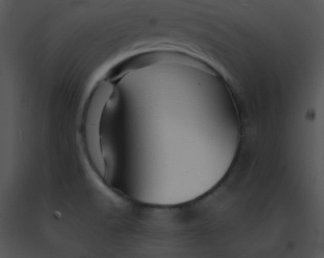X0000091361518200708311454