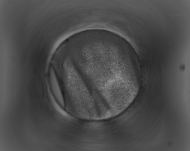 X0000091361519200708311454