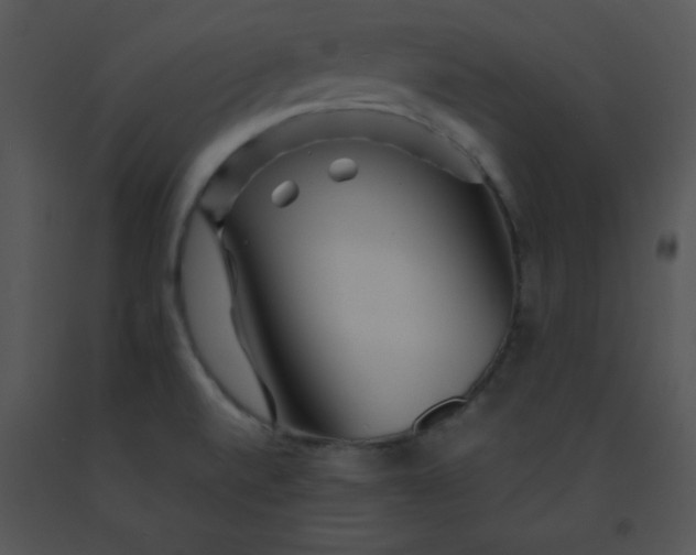 X0000091361520200708311454