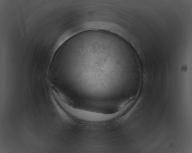X0000091361521200708311454