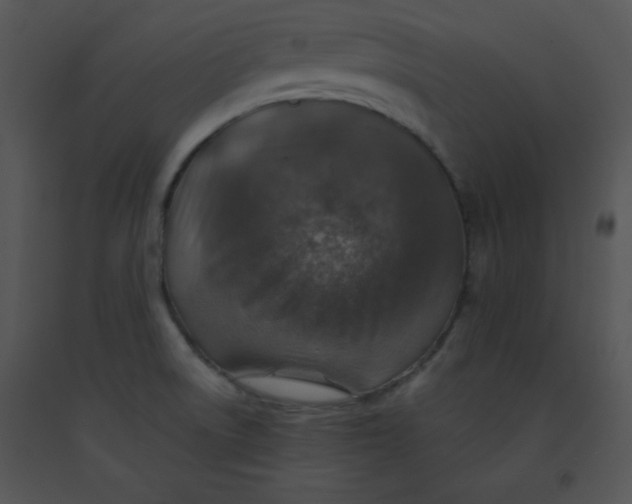 X0000091361522200708311454