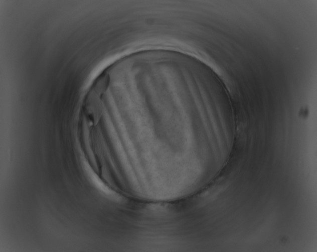 X0000091361523200708311454