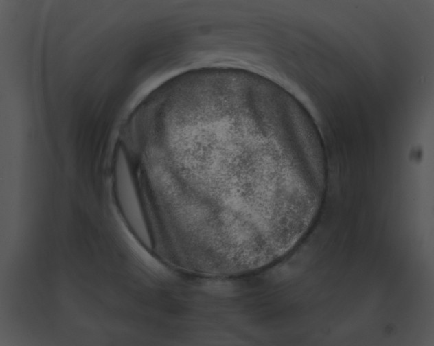 X0000091361525200708311454