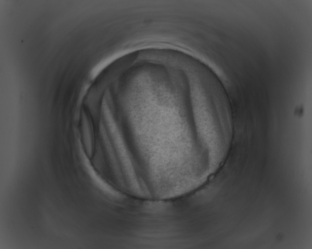X0000091361526200708311454