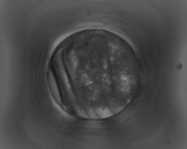 X0000091361527200708311454