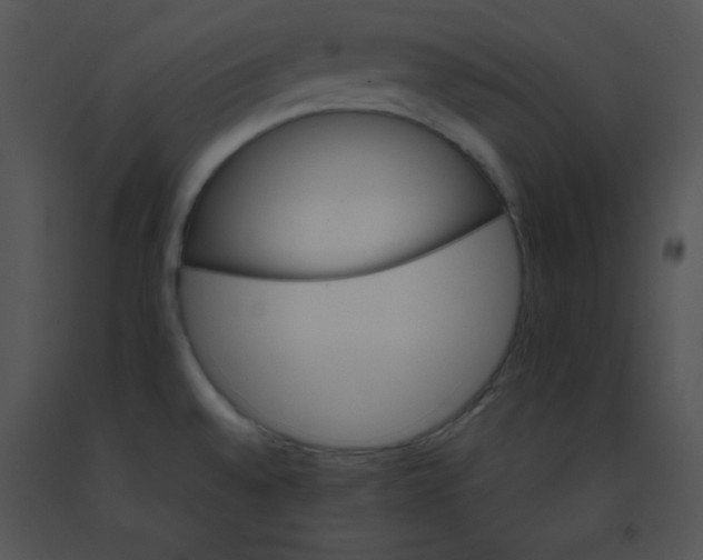 X0000091361528200708311454