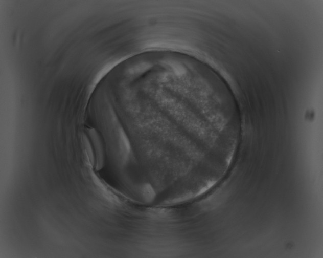 X0000091361529200708311454