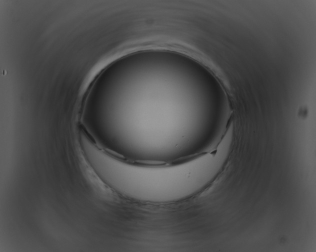 X0000091361530200708311454